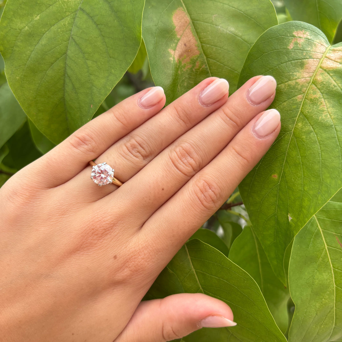 Solitaire Lab Diamond Engagement Ring
