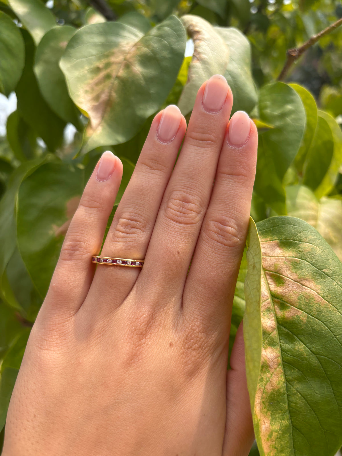 Ruby and Diamond Band