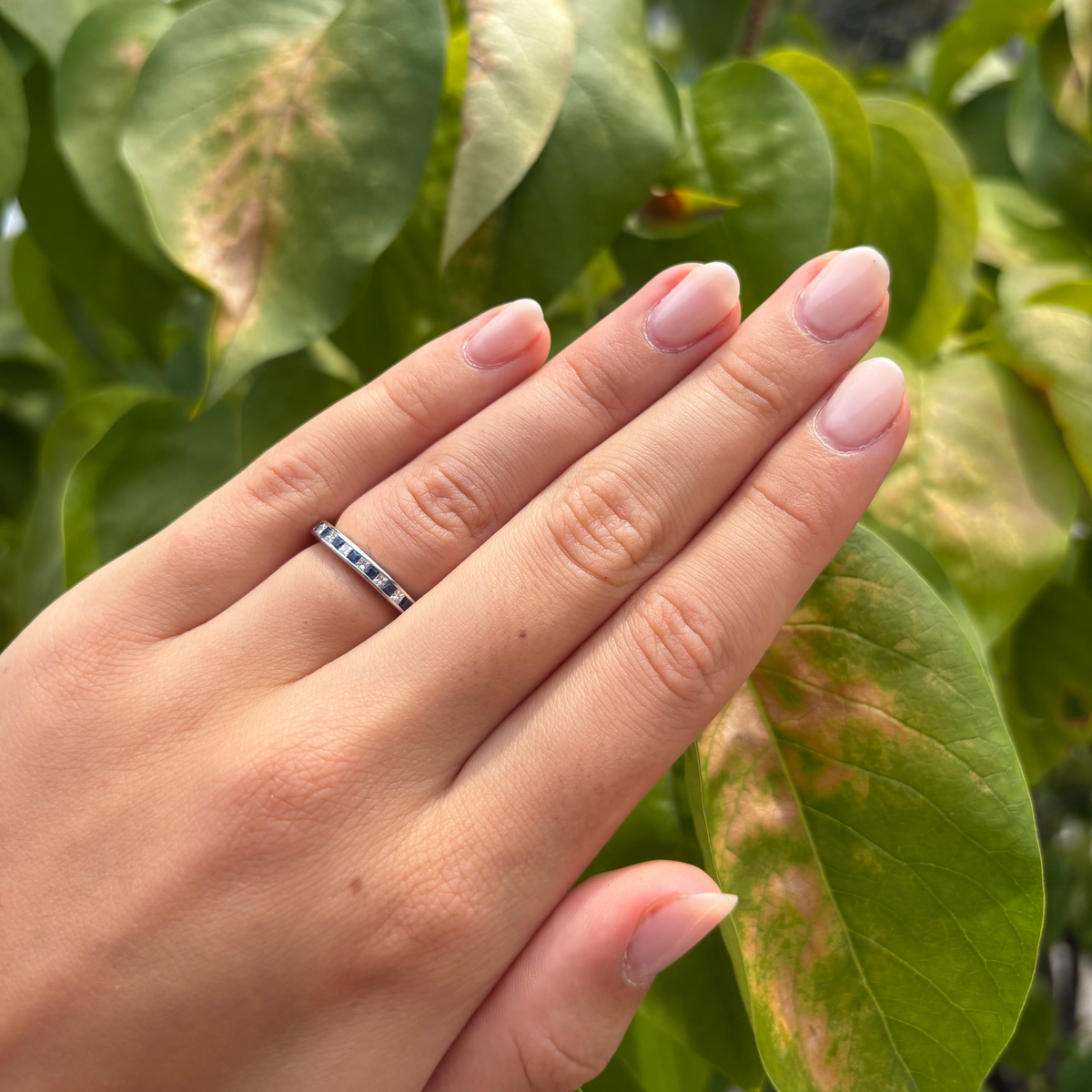 Sapphire and Diamond Band