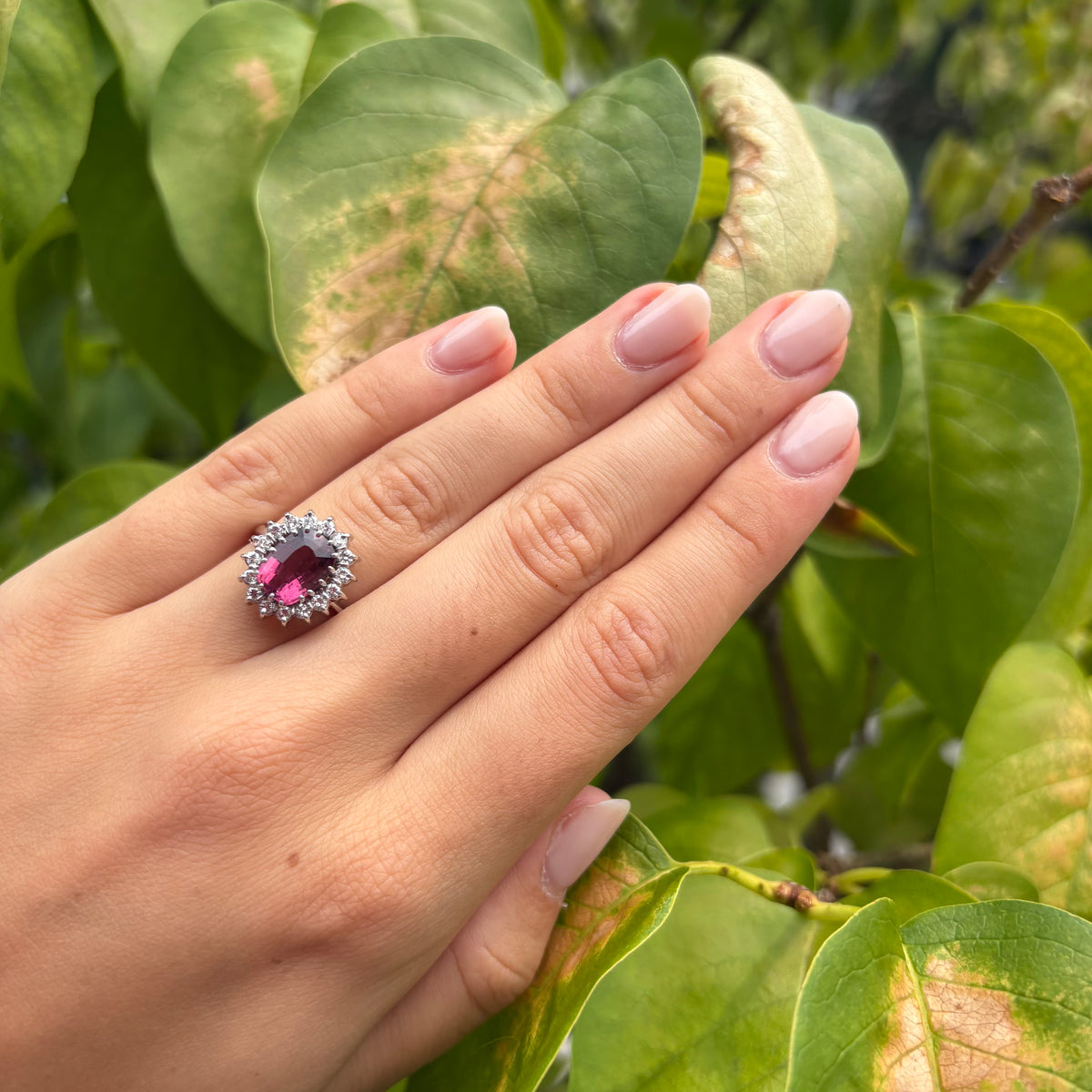 Pink Tourmaline Ring with Diamond Halo