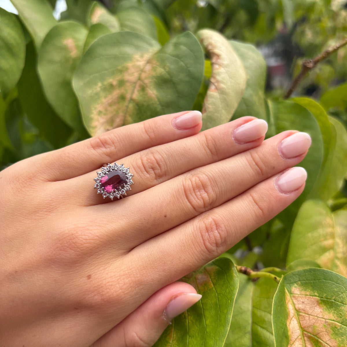 Pink Tourmaline Ring with Diamond Halo