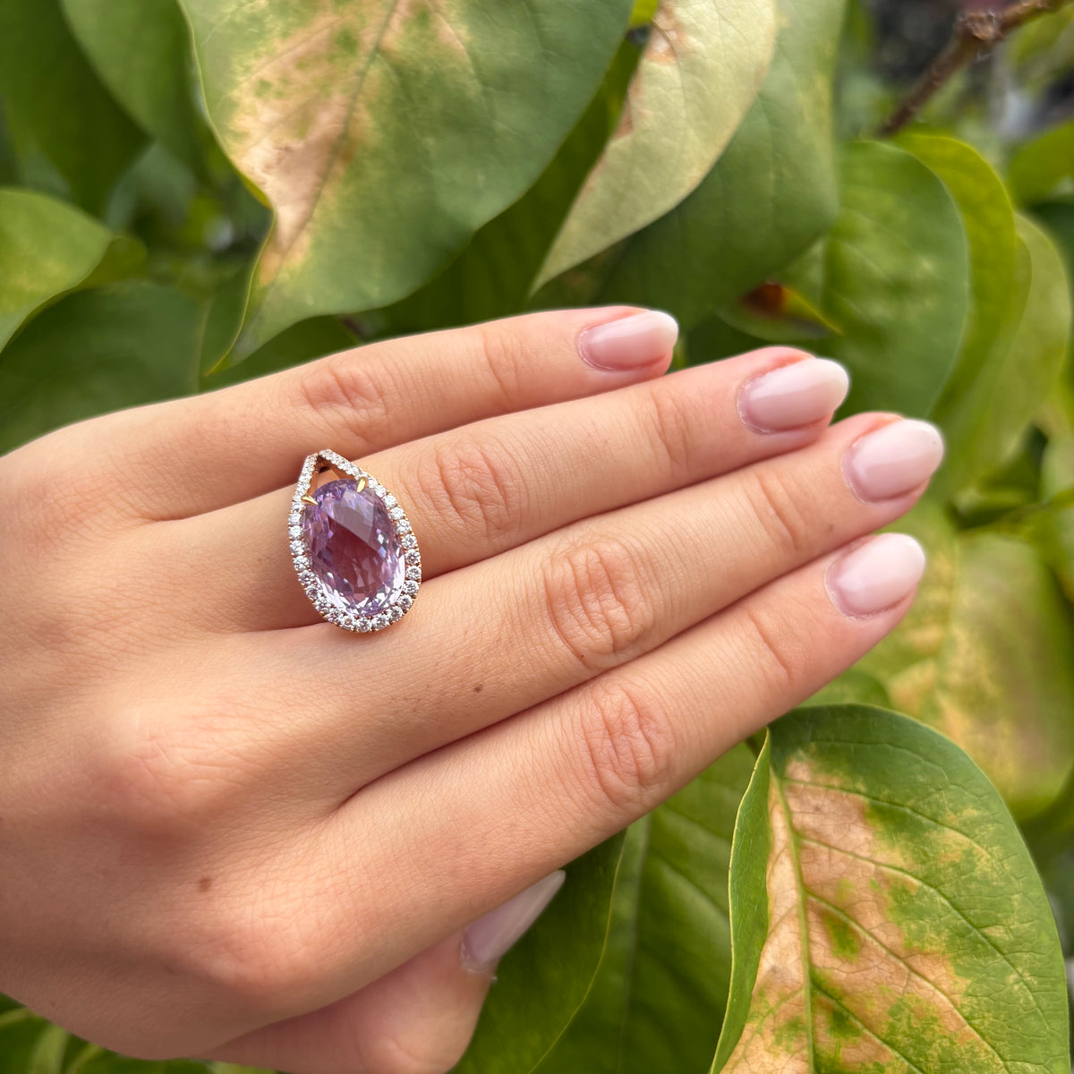Rose De France Amethyst Ring