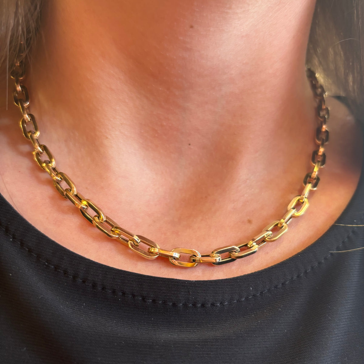 Large Paperclip Chain