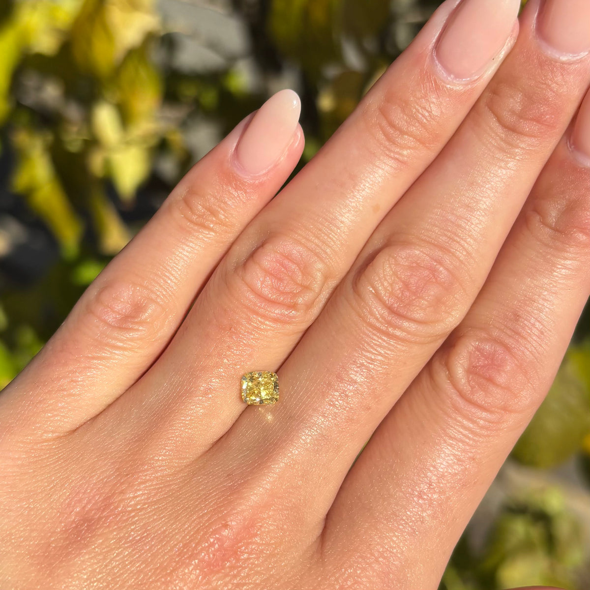 GIA Certified Fancy Intense Yellow Diamond