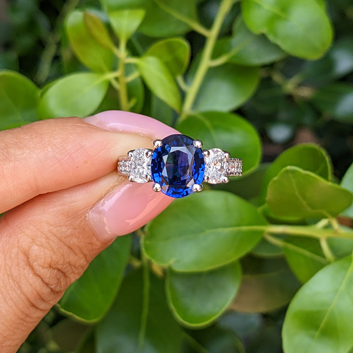 Sapphire and Diamond Ring