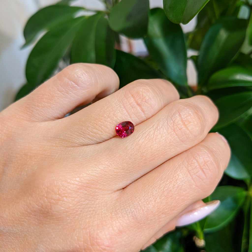 GIA Certified No Heat Burma Ruby – ArthurGroom