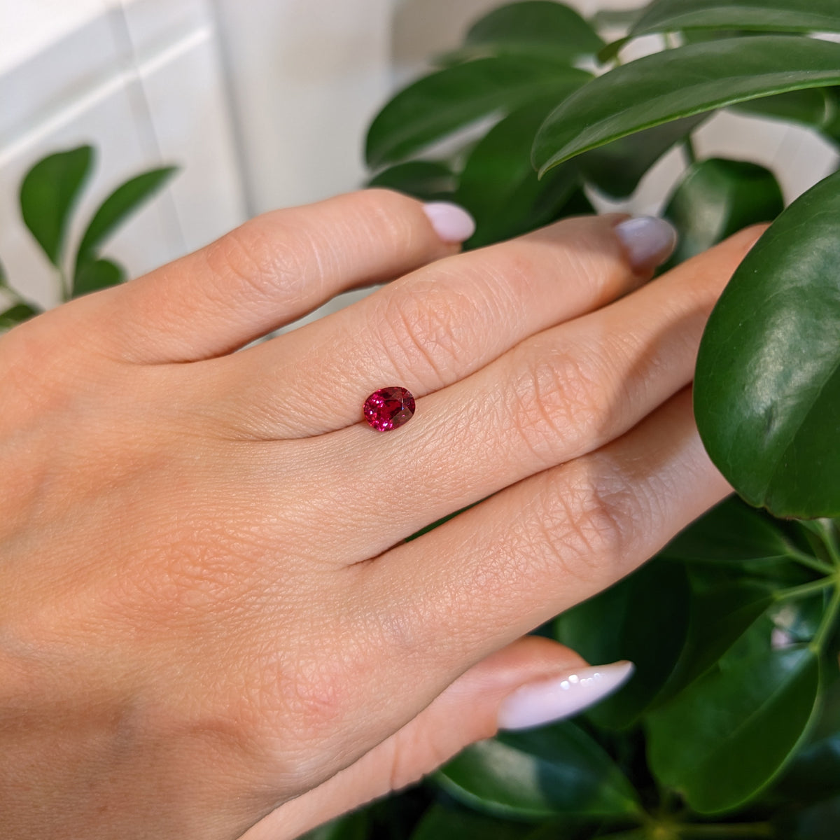 GIA Certified No Heat Burma Ruby