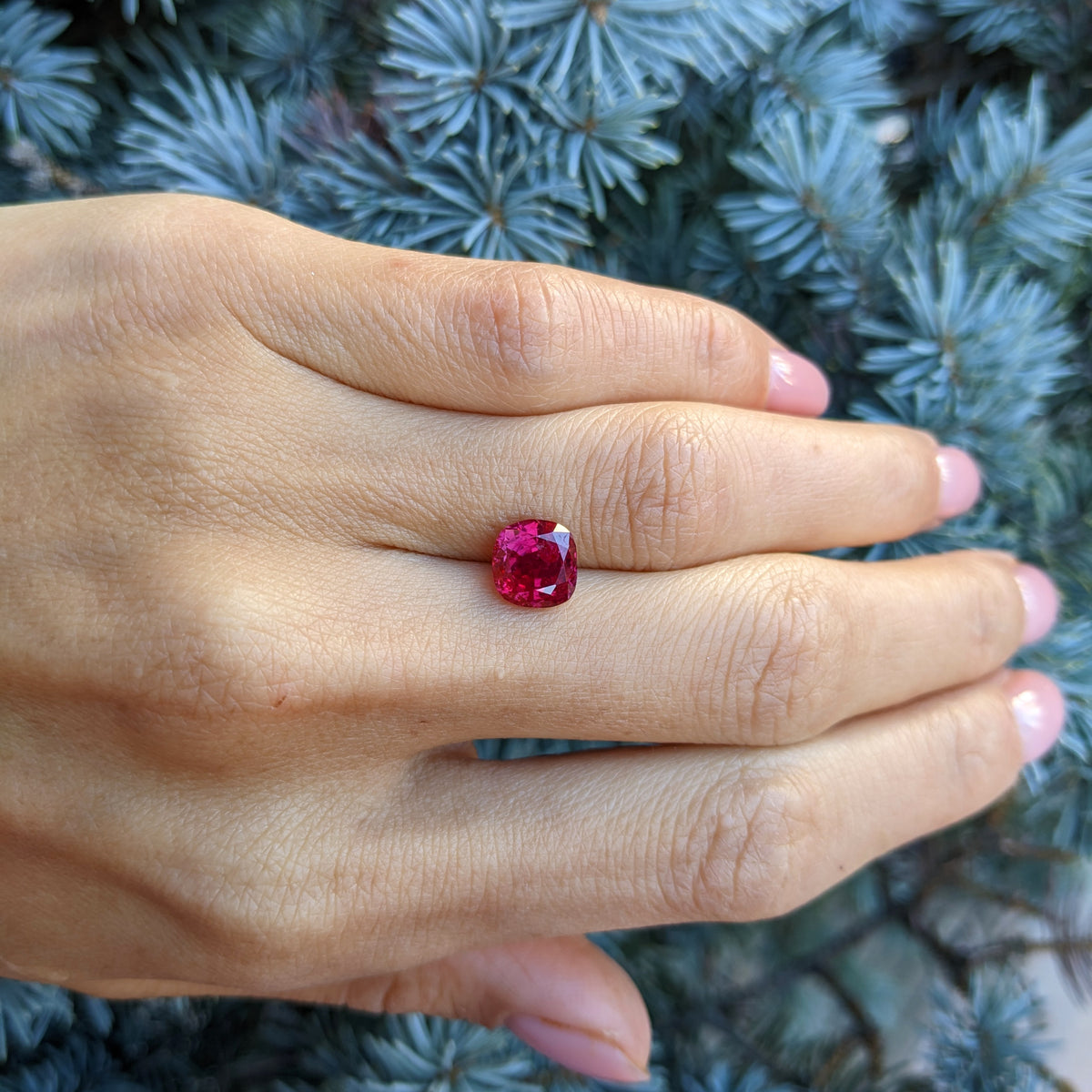 Rare 2.65 Carat Burma Un-enhanced Ruby with AGL Certification